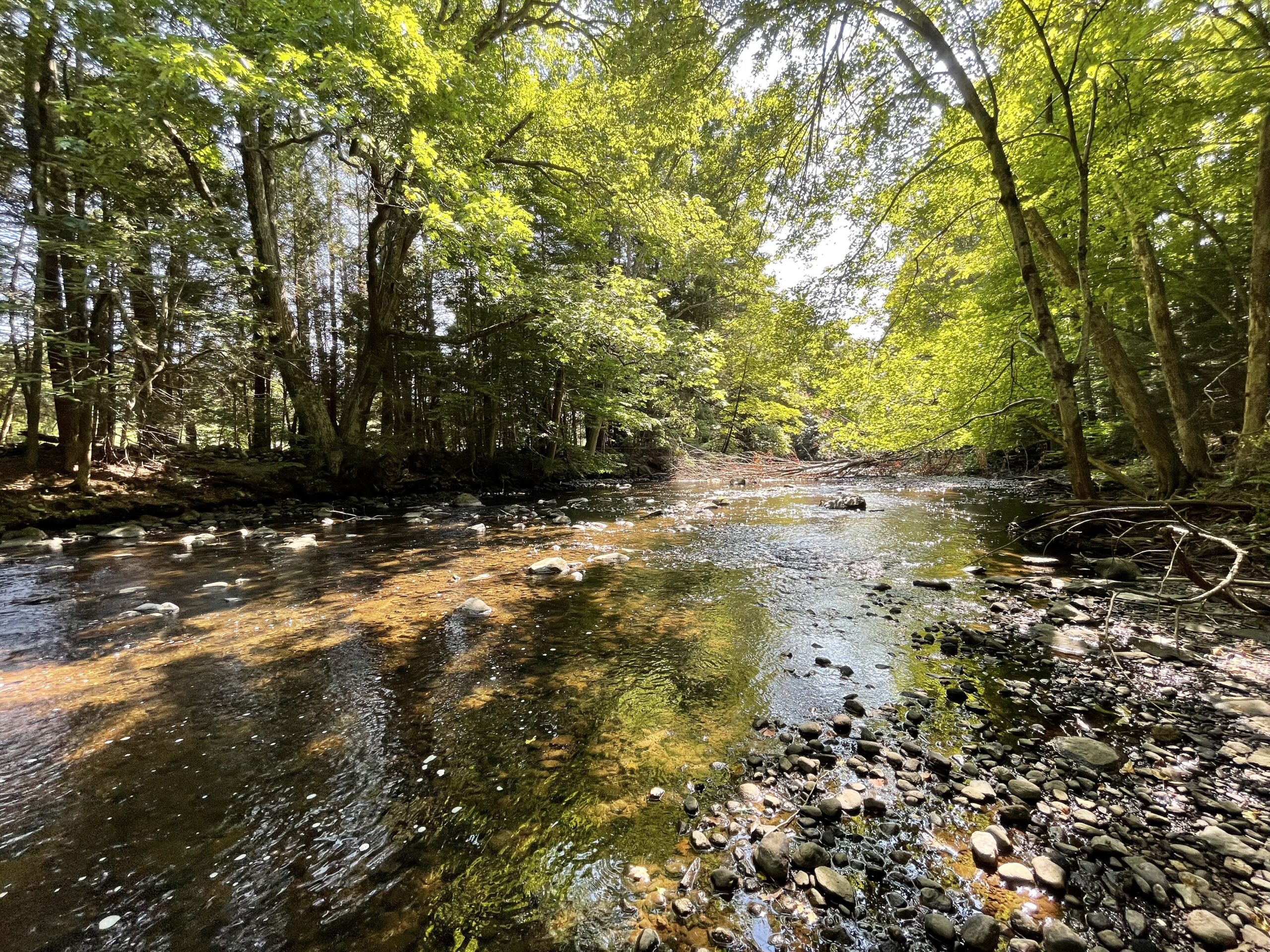 Our Little Corner of the World: Moving to Connecticut